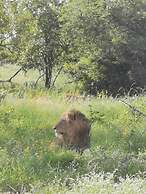 Mbizi Bush Lodge