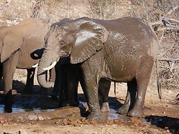 Mbizi Bush Lodge