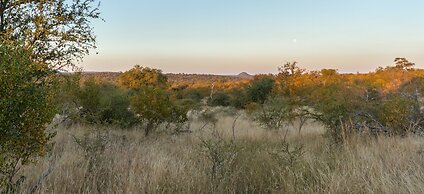 Mbizi Bush Lodge