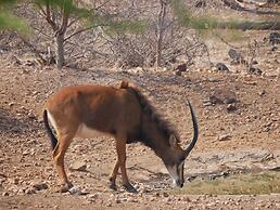Mbizi Bush Lodge