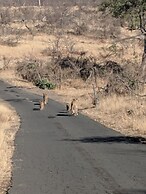 Mbizi Bush Lodge