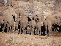 Mbizi Bush Lodge