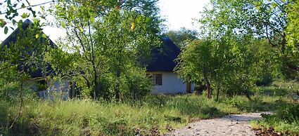 Mbizi Bush Lodge