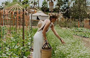 Hotel Boutique Valle de Guadalupe & Spa