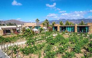 Hotel Boutique Valle de Guadalupe & Spa