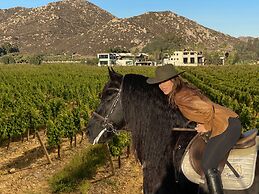 Hotel Boutique Valle de Guadalupe & Spa