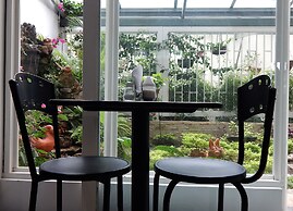 Apartamentos Galerias 52