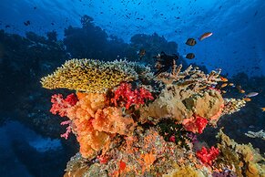 Sau Bay Resort & Spa