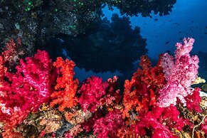 Sau Bay Resort & Spa