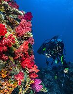 Sau Bay Resort & Spa