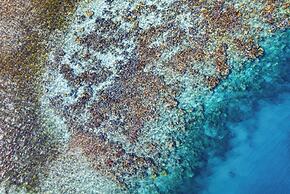 Sau Bay Resort & Spa