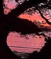 Sau Bay Resort & Spa