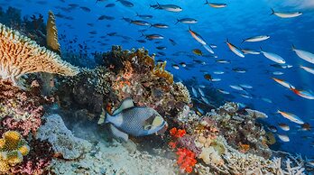 Sau Bay Resort & Spa