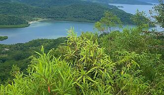 Sau Bay Resort & Spa