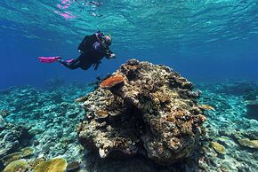 Sau Bay Resort & Spa