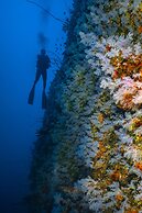 Sau Bay Resort & Spa