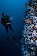 Sau Bay Resort & Spa