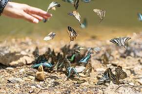 Kaengkrachan Boathouse Paradise Resort