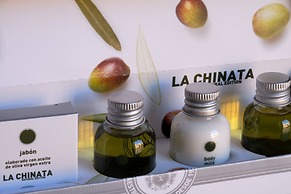 Rusticae Palacio Carvajal Girón