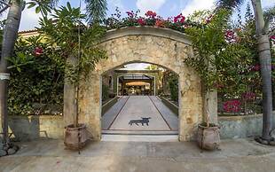 Casas del Toro Playa Flamingo