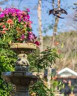 Casas del Toro Playa Flamingo