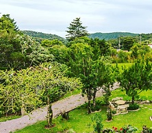 Casas del Toro Monteverde