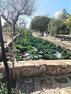 Holiday Home Višnja