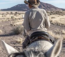 Desert Homestead Lodge l Ondili
