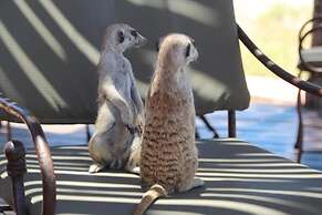 Kalahari Red Dunes Lodge l Ondili