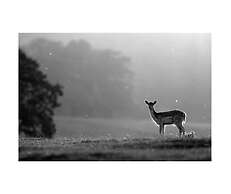 Cosy and Quirky House in the Heart of Bakewell