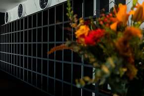 Hôtel Barracuda & Spa, Centre Port, pieds dans l'eau, vue mer