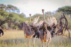 Okapuka Safari Lodge