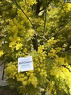 Nel Conero affittacamere