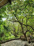 The Dream Beach Resort