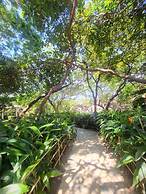 The Dream Beach Resort