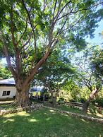 The Dream Beach Resort