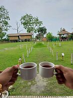 Hill Mynah Bamboo Resort