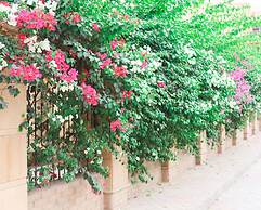 Grand Museum Pyramids Inn