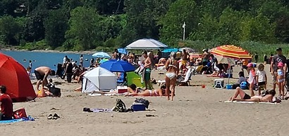 Coastal #1 and Cozy #2 - Seacliff Beach Suites