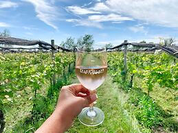 Coastal #1 and Cozy #2 - Seacliff Beach Suites