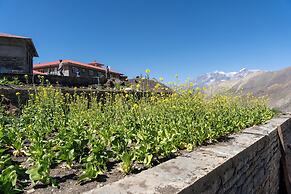 Lo Mustang Himalayan Resort