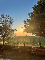 Laqua Vineyard