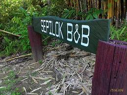 Sepilok B&B