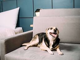 Ibis Styles Poços De Caldas