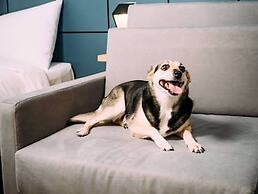 Ibis Styles Poços De Caldas