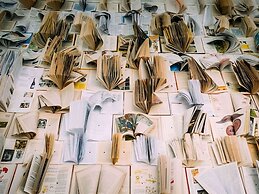 Ibis Styles Poços De Caldas