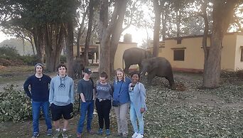 DTR Jungle Hideaways