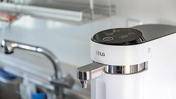 Jeju Motungedoljib Dogchaepension