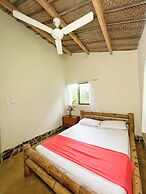 Tayrona Cachaco River