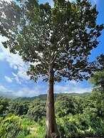 Tayrona Cachaco River